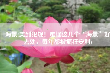 海景(美到犯规！难怪这几个“海景”好去处，每年都被疯狂安利)