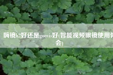 嗨镜h2好还是goovis好(智能视频眼镜使用体会)