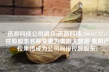 迅游科技公司简介(迅游科技(300467.SZ)：控股股东名称变更为贵阳大数据 贵阳产控集团成为公司间接控股股东)