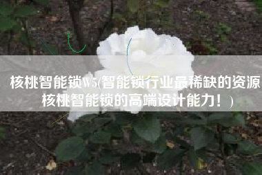 核桃智能锁W5(智能锁行业最稀缺的资源：核桃智能锁的高端设计能力！)