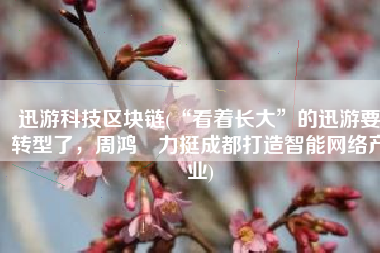 迅游科技区块链(“看着长大”的迅游要转型了，周鸿祎力挺成都打造智能网络产业)