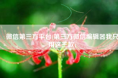 微信第三方平台(第三方微信编辑器我只用这三款)