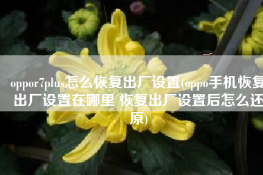 oppor7plus怎么恢复出厂设置(oppo手机恢复出厂设置在哪里 恢复出厂设置后怎么还原)