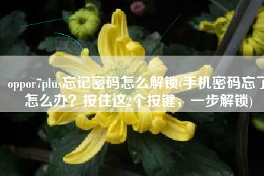 oppor7plus忘记密码怎么解锁(手机密码忘了怎么办？按住这2个按键，一步解锁)