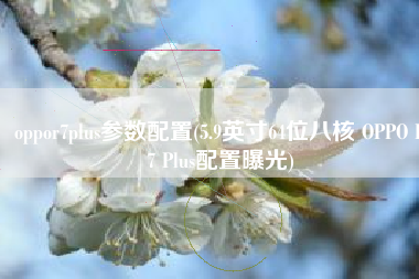 oppor7plus参数配置(5.9英寸64位八核 OPPO R7 Plus配置曝光)