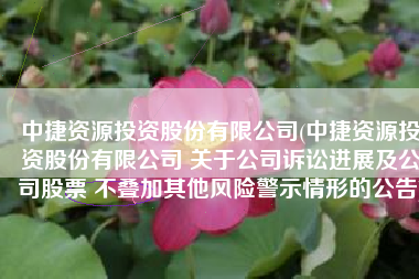 中捷资源投资股份有限公司(中捷资源投资股份有限公司 关于公司诉讼进展及公司股票 不叠加其他风险警示情形的公告)