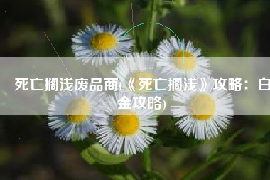 死亡搁浅废品商(《死亡搁浅》攻略：白金攻略)