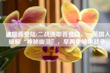 迪耶普登陆(二战迪耶普登陆，一英国人破解“神秘幽灵”，早两年结束战争)