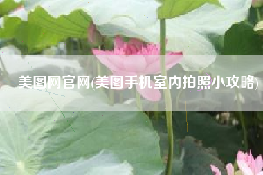 美图网官网(美图手机室内拍照小攻略)