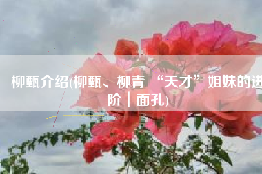 柳甄介绍(柳甄、柳青 “天才”姐妹的进阶｜面孔)