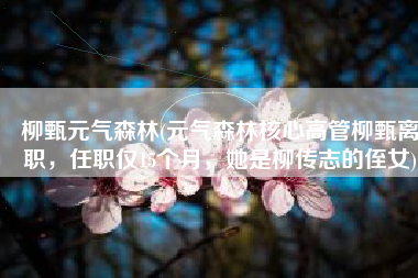 柳甄元气森林(元气森林核心高管柳甄离职，任职仅15个月，她是柳传志的侄女)