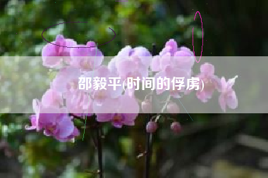 邵毅平(时间的俘虏)