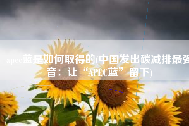 apec蓝是如何取得的(中国发出碳减排最强音：让“APEC蓝”留下)