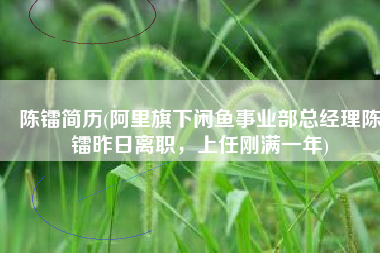 陈镭简历(阿里旗下闲鱼事业部总经理陈镭昨日离职，上任刚满一年)
