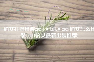 豹女打野出装2021(《LOL》2021豹女怎么出装 2021豹女最新出装推荐)