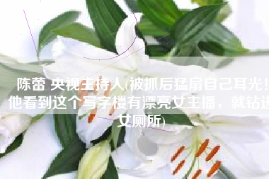 陈蕾 央视主持人(被抓后猛扇自己耳光！他看到这个写字楼有漂亮女主播，就钻进女厕所)