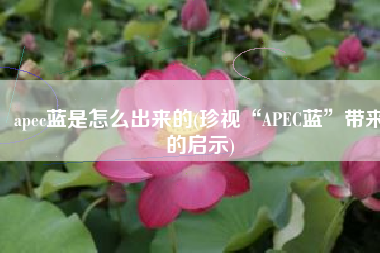 apec蓝是怎么出来的(珍视“APEC蓝”带来的启示)