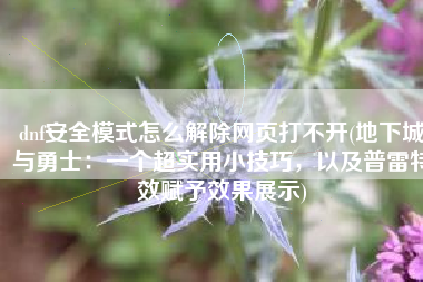 dnf安全模式怎么解除网页打不开(地下城与勇士：一个超实用小技巧，以及普雷特效赋予效果展示)