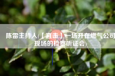 陈雷主持人(【直击】一场开在燃气公司现场的检察听证会)
