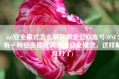 dnf安全模式怎么解除绑定公众账号(DNF：有一种安全模式叫无限安全模式，这样解就对了)