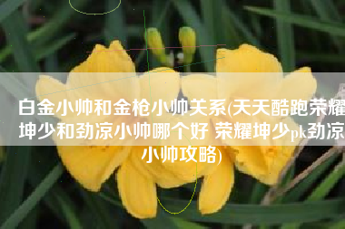 白金小帅和金枪小帅关系(天天酷跑荣耀坤少和劲凉小帅哪个好 荣耀坤少pk劲凉小帅攻略)