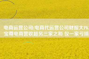 电商运营公司(电商代运营公司财报大PK：宝尊电商营收超另三家之和 仅一家亏损)