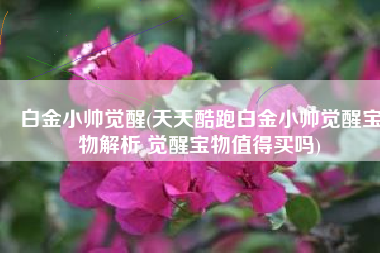 白金小帅觉醒(天天酷跑白金小帅觉醒宝物解析 觉醒宝物值得买吗)