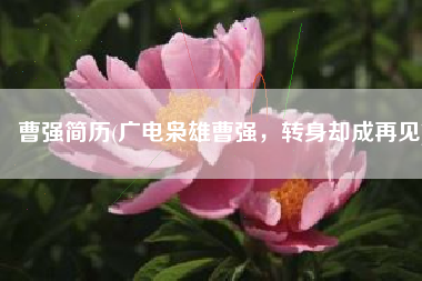 曹强简历(广电枭雄曹强，转身却成再见)