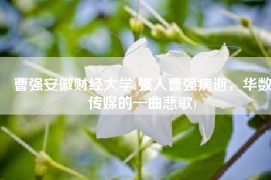 曹强安徽财经大学(强人曹强病逝，华数传媒的一曲悲歌)