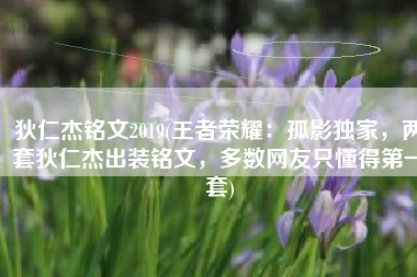 狄仁杰铭文2019(王者荣耀：孤影独家，两套狄仁杰出装铭文，多数网友只懂得第一套)