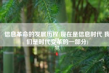 信息革命的发展历程(现在是信息时代 我们是时代变革的一部分)