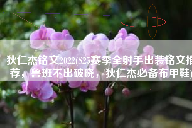 狄仁杰铭文2022(S25赛季全射手出装铭文推荐，鲁班不出破晓，狄仁杰必备布甲鞋)