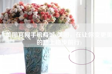 美图官网手机商城(美图，在让你变更美的路上稳步前行)