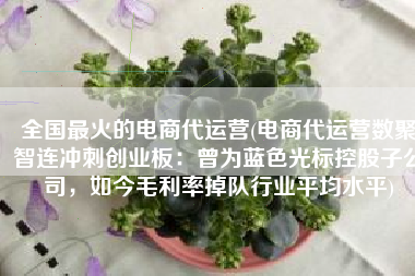 全国最火的电商代运营(电商代运营数聚智连冲刺创业板：曾为蓝色光标控股子公司，如今毛利率掉队行业平均水平)