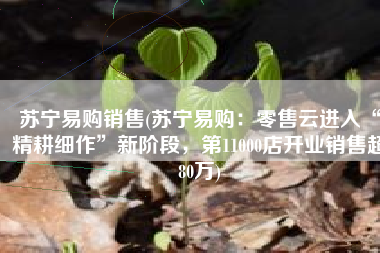 苏宁易购销售(苏宁易购：零售云进入“精耕细作”新阶段，第11000店开业销售超80万)