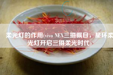 柔光灯的作用(vivo NEX三摄瞩目，星环柔光灯开启三摄柔光时代)