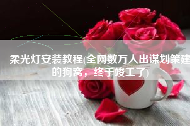 柔光灯安装教程(全网数万人出谋划策建的狗窝，终于竣工了)