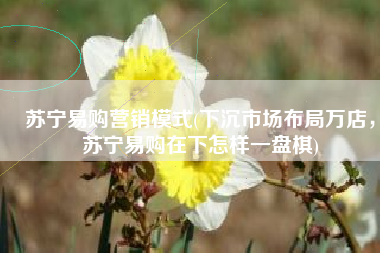 苏宁易购营销模式(下沉市场布局万店，苏宁易购在下怎样一盘棋)
