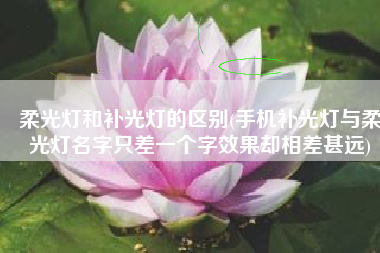 柔光灯和补光灯的区别(手机补光灯与柔光灯名字只差一个字效果却相差甚远)