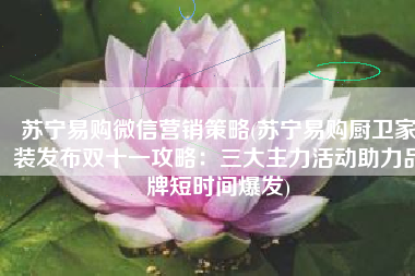 苏宁易购微信营销策略(苏宁易购厨卫家装发布双十一攻略：三大主力活动助力品牌短时间爆发)