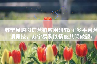 苏宁易购微信营销应用研究(618多平台营销竞技，苏宁易购以情感共鸣破题)
