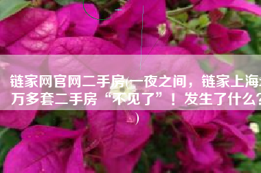 链家网官网二手房(一夜之间，链家上海2万多套二手房“不见了”！发生了什么？)