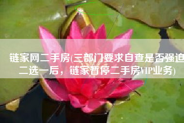 链家网二手房(三部门要求自查是否强迫二选一后，链家暂停二手房VIP业务)