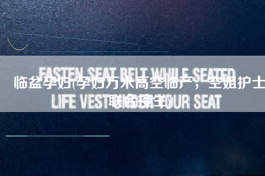 临盆孕妇(孕妇万米高空临产，空姐护士联合接生)