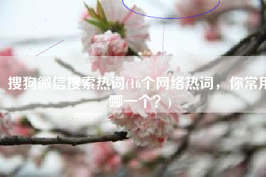 搜狗微信搜索热词(16个网络热词，你常用哪一个？)