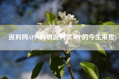 返利网APP(购物返利类APP的今生来世)