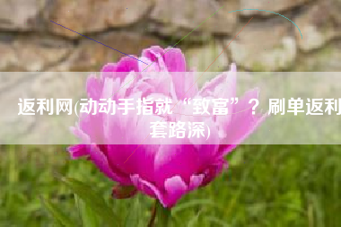 返利网(动动手指就“致富”？刷单返利套路深)