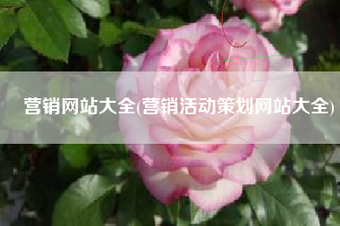 营销网站大全(营销活动策划网站大全)
