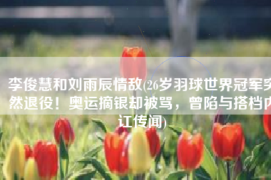 李俊慧和刘雨辰情敌(26岁羽球世界冠军突然退役！奥运摘银却被骂，曾陷与搭档内讧传闻)