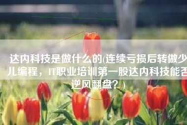 达内科技是做什么的(连续亏损后转做少儿编程，IT职业培训第一股达内科技能否逆风翻盘？)